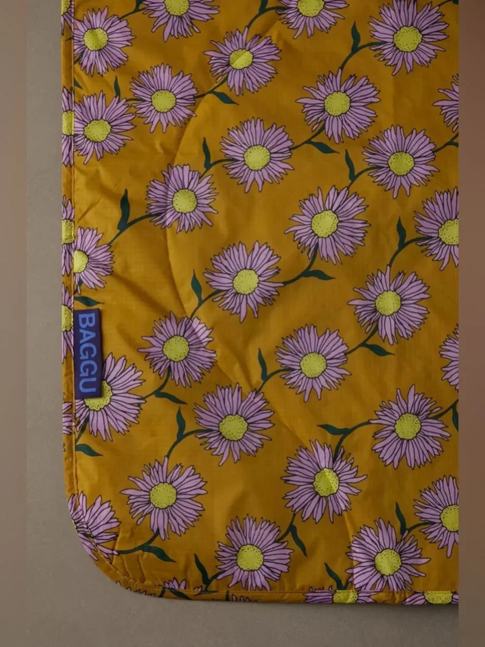 BAGGU Puffy Printed Picnic Blanket Urban Outfitters NEW